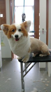 20090703151659.jpg