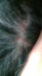 20090605152450.jpg
