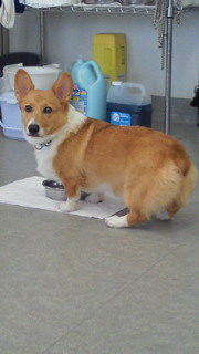 200909051214000.jpg