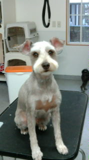 20100326165059.jpg