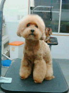 20100325180618.jpg