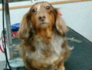20100325180749.jpg